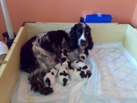 /album/fotogalerie/foto-dusan-iii-048-jpg/